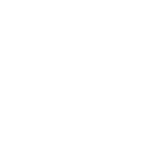 TikTok Logo