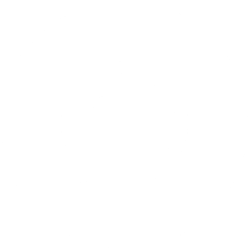 WhatsApp Logo